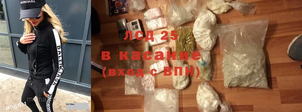 индика Бородино