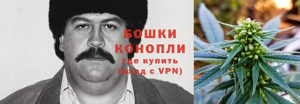 индика Бородино
