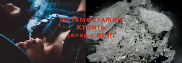 индика Бородино