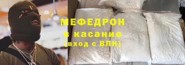 индика Бородино