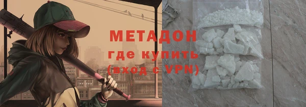 индика Бородино
