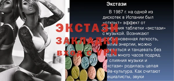 индика Бородино