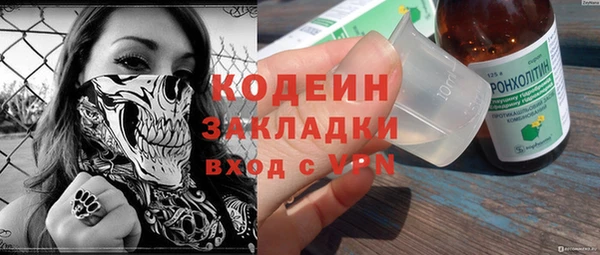 индика Бородино
