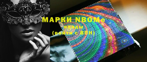 индика Бородино