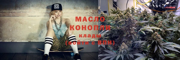 индика Бородино