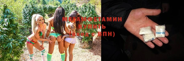 индика Бородино