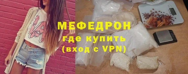 индика Бородино