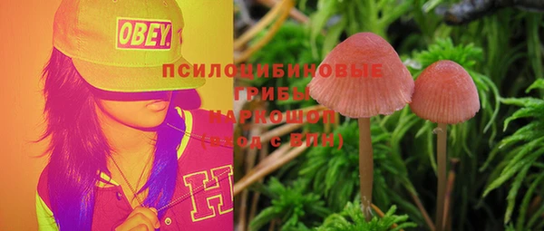 индика Бородино
