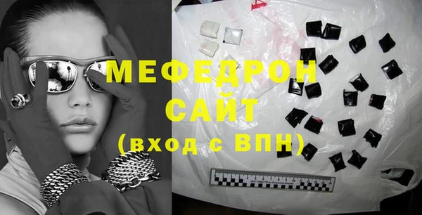 индика Бородино