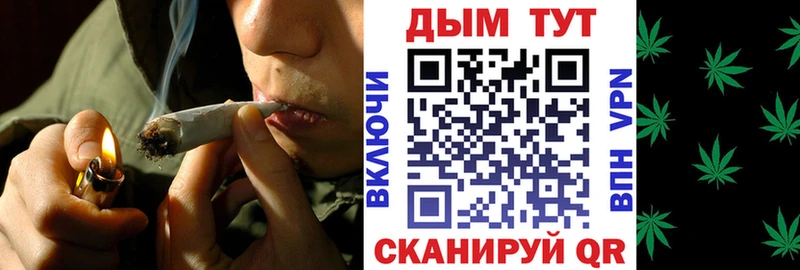 Канабис гибрид  omg ONION  Кировск 